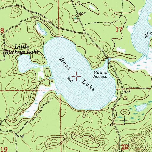 Topographic Map of Bass Lake, MI