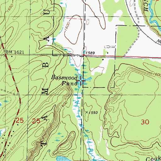 Topographic Map of Basswood Pond, MI