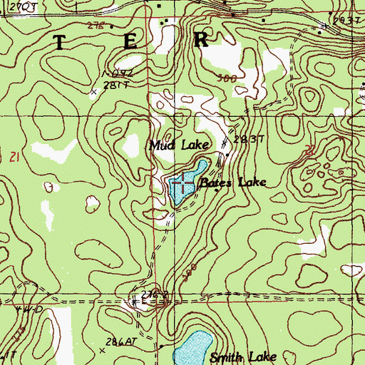 Topographic Map of Bates Lake, MI