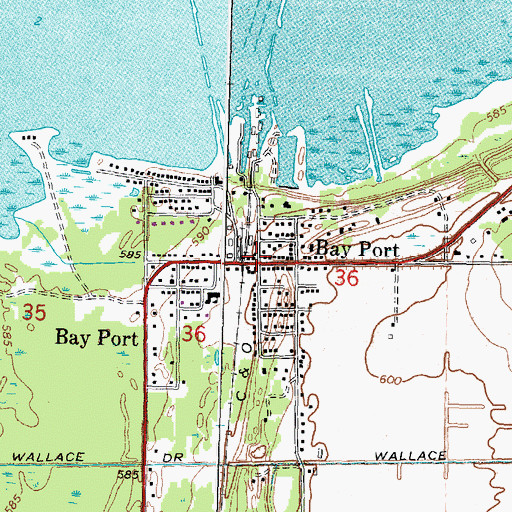 Topographic Map of Bay Port, MI