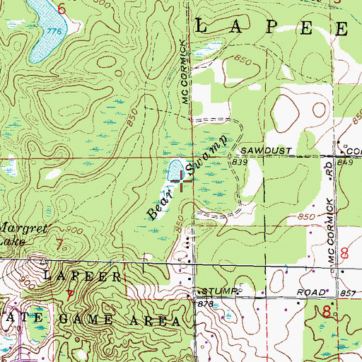 Topographic Map of Bear Swamp, MI