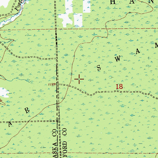 Topographic Map of Bear Swamp, MI