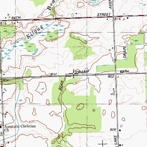 Topographic Map of Bear Swamp Drain, MI
