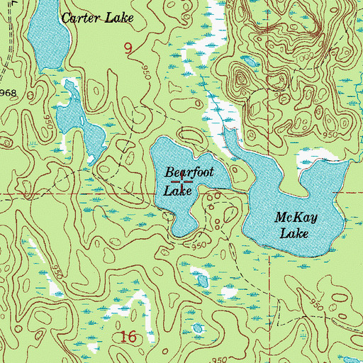 Topographic Map of Bearfoot Lake, MI
