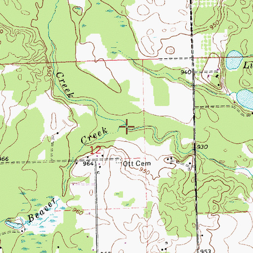 Topographic Map of Beaver Creek, MI