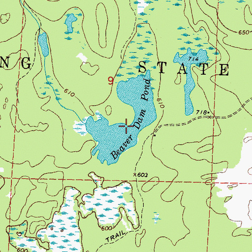 Topographic Map of Beaver Dam Pond, MI