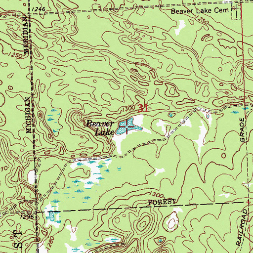 Topographic Map of Beaver Lake, MI
