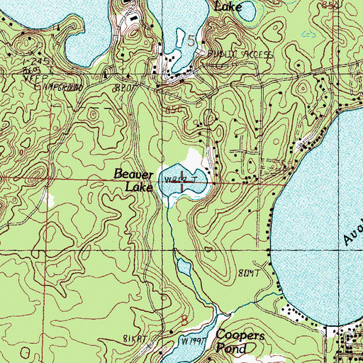Topographic Map of Beaver Lake, MI