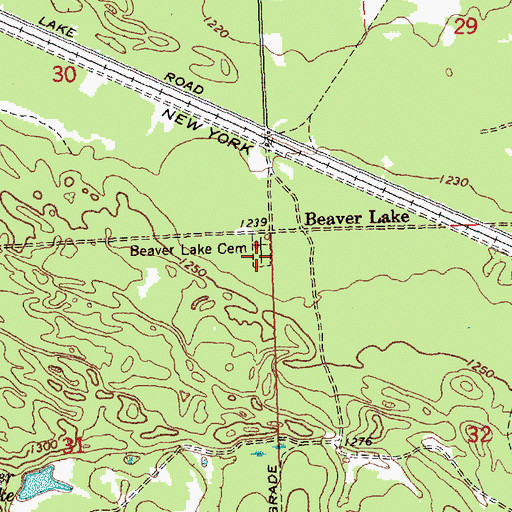 Topographic Map of Beaver Lake Cemetery, MI