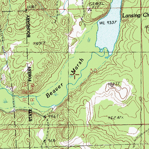 Topographic Map of Beaver Marsh, MI