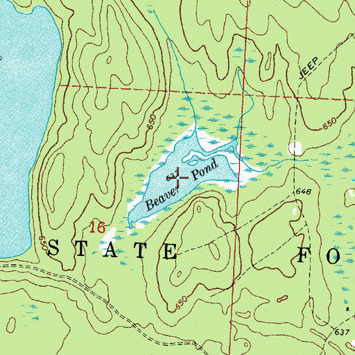 Topographic Map of Beaver Pond, MI