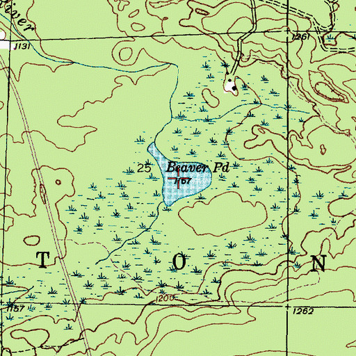 Topographic Map of Beaver Pond, MI