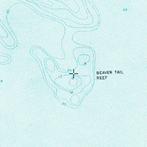 Topographic Map of Beaver Tail Reef, MI