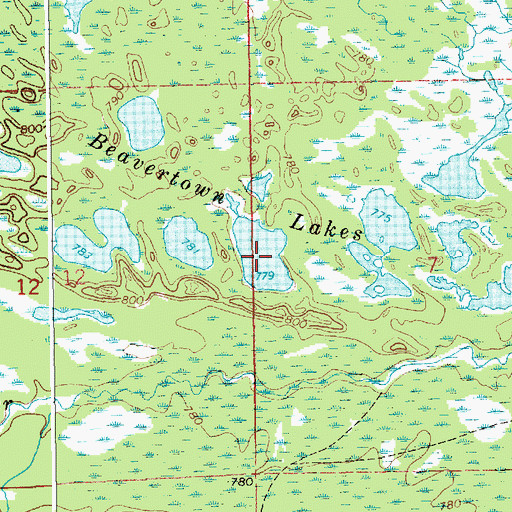 Topographic Map of Beavertown Lakes, MI