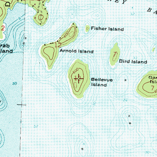 Topographic Map of Bellevue Island, MI