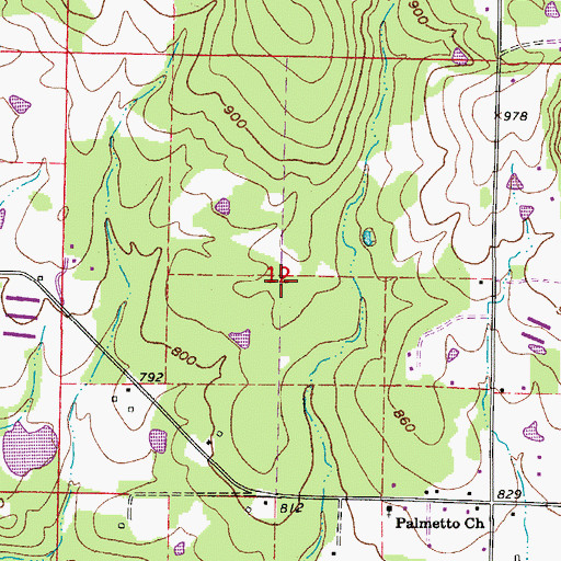 Topographic Map of Palmetto School (historical), AR