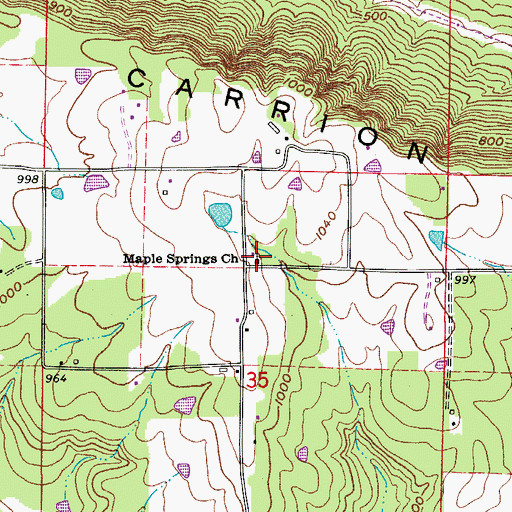 Topographic Map of Maple Spring School (historical), AR