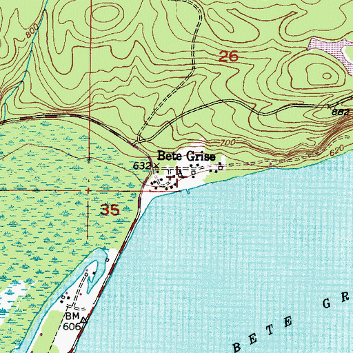 Topographic Map of Bete Grise, MI