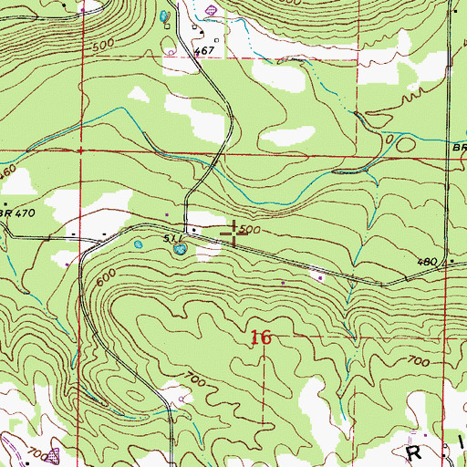 Topographic Map of Burris Church (historical), AR
