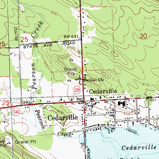 Topographic Map of Bethel Church, MI