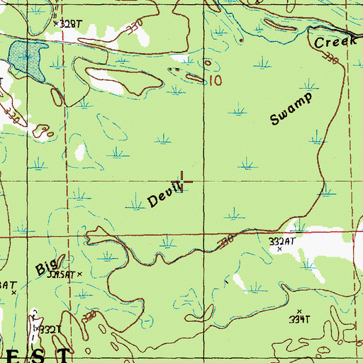 Topographic Map of Big Devil Swamp, MI