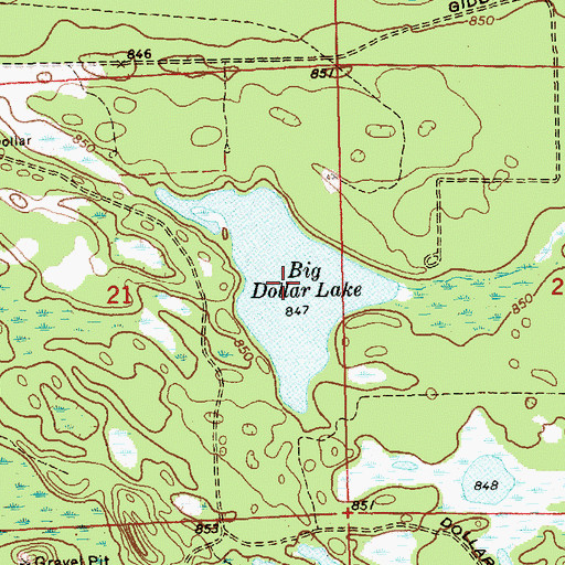 Topographic Map of Big Dollar Lake, MI