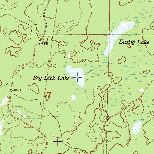 Topographic Map of Big Lick Lake, MI