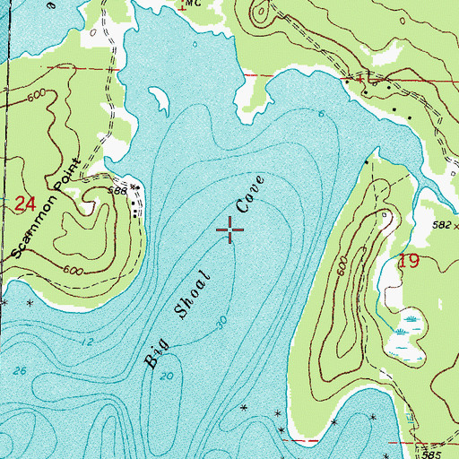 Topographic Map of Big Shoal Cove, MI