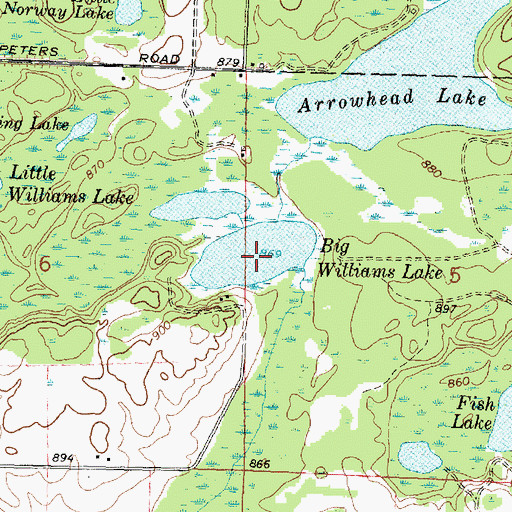 Topographic Map of Big Williams Lake, MI