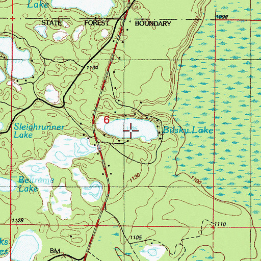 Topographic Map of Bilsky Lake, MI