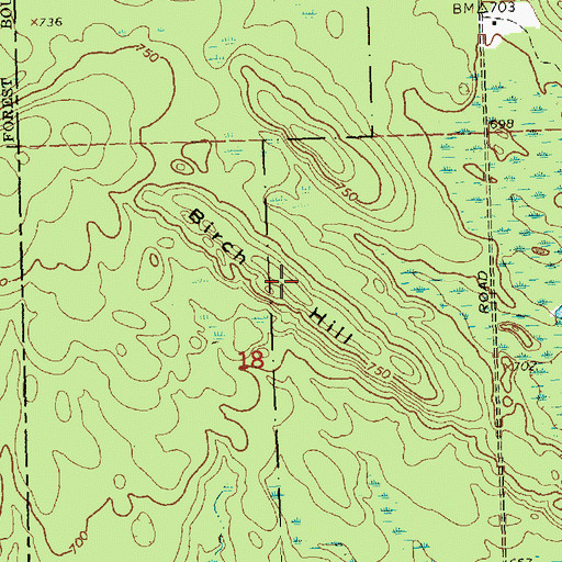 Topographic Map of Birch Hill, MI