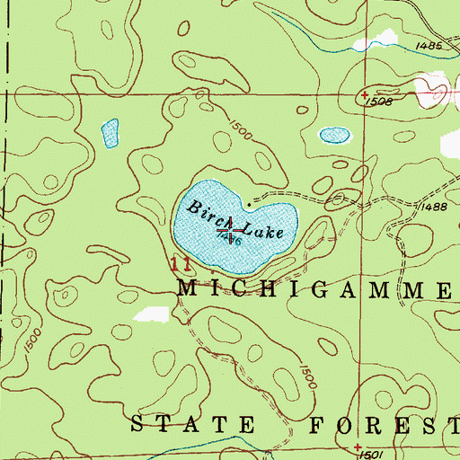 Topographic Map of Birch Lake, MI