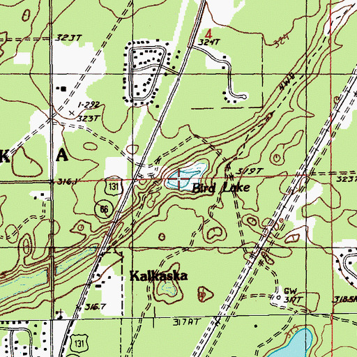 Topographic Map of Bird Lake, MI