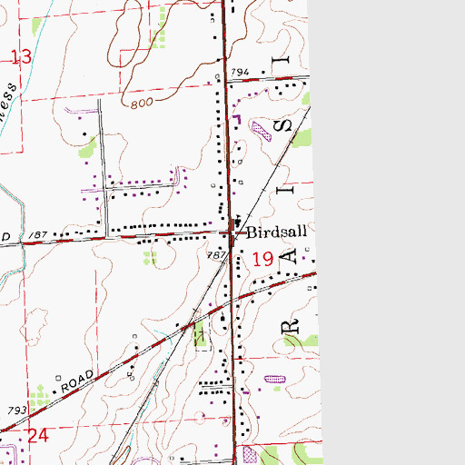 Topographic Map of Birdsall, MI