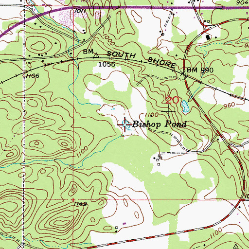 Topographic Map of Bishop Pond, MI
