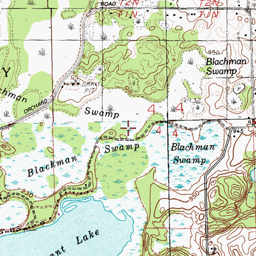 Topographic Map of Blachman Swamp, MI