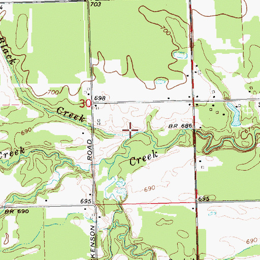 Topographic Map of Black Creek, MI