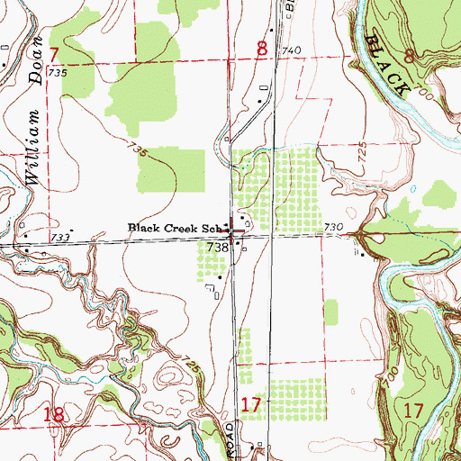 Topographic Map of Black Creek School, MI