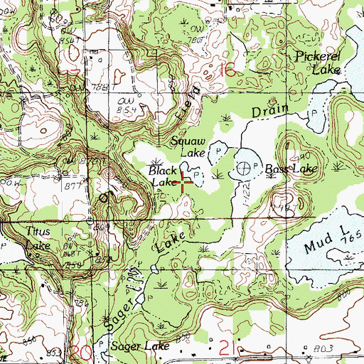 Topographic Map of Black Lake, MI
