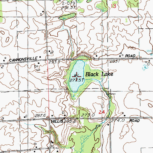 Topographic Map of Black Lake, MI