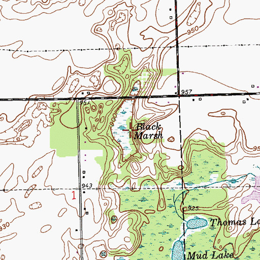 Topographic Map of Black Marsh, MI