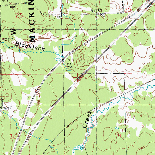 Topographic Map of Blackjack Creek, MI