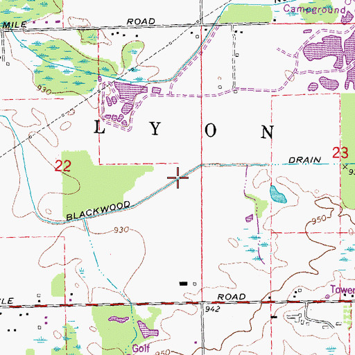 Topographic Map of Blackwood Drain, MI