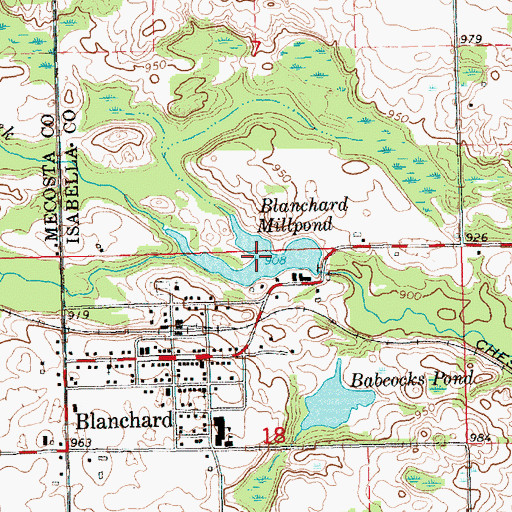 Topographic Map of Blanchard Millpond, MI