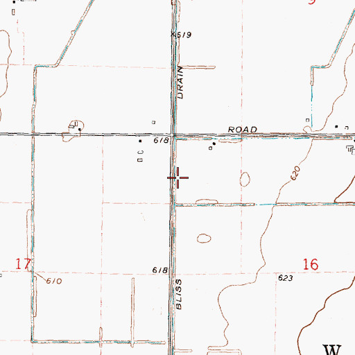 Topographic Map of Bliss Drain, MI