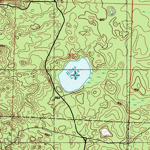 Topographic Map of Bliss Lake, MI