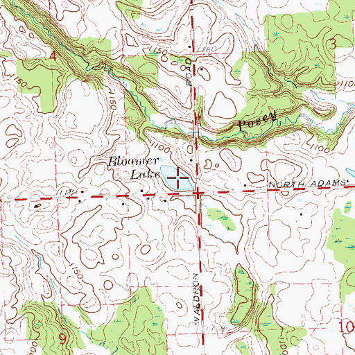 Topographic Map of Bloomer Lake, MI