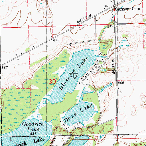 Topographic Map of Blossom Lake, MI