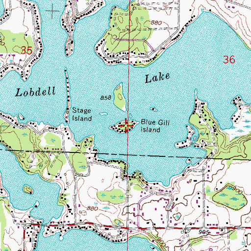 Topographic Map of Blue Gill Island, MI