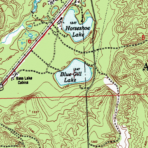 Topographic Map of Blue Gill Lake, MI